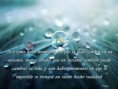 /album/pensamientos/reflexiones-nayade-14-jpg/